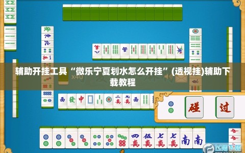 辅助开挂工具“微乐宁夏划水怎么开挂”(透视挂)辅助下载教程