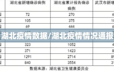 湖北疫情数据/湖北疫情情况通报