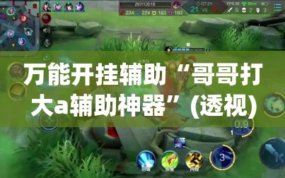万能开挂辅助“哥哥打大a辅助神器”(透视)其实确实有挂