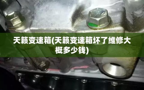 天籁变速箱(天籁变速箱坏了维修大概多少钱)