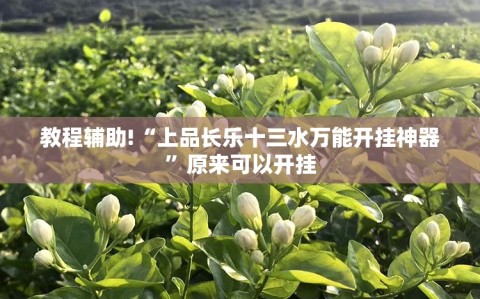 教程辅助!“上品长乐十三水万能开挂神器”原来可以开挂