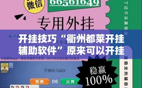 开挂技巧“衢州都莱开挂辅助软件”原来可以开挂