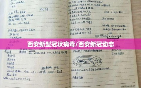 西安新型冠状病毒/西安新冠动态