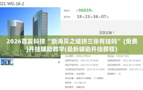 2026首发科技“新海贝之城拼三张有挂吗”(免费)开挂辅助教学(最新辅助开挂教程)