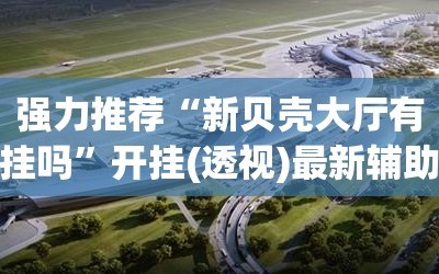强力推荐“新贝壳大厅有挂吗”开挂(透视)最新辅助详细
