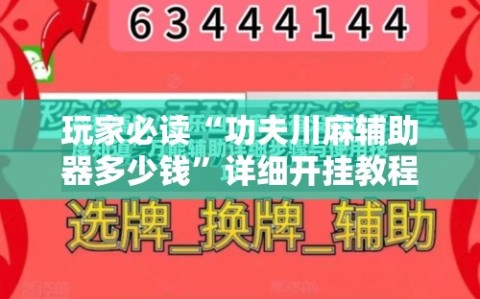 玩家必读“功夫川麻辅助器多少钱”详细开挂教程