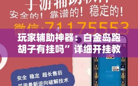 玩家辅助神器：白金岛跑胡子有挂吗”详细开挂教程
