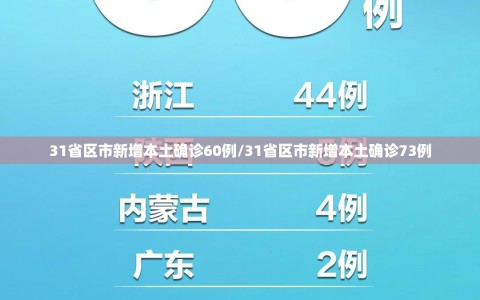 31省区市新增本土确诊60例/31省区市新增本土确诊73例