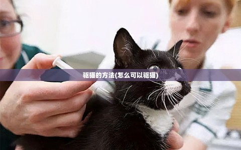 驱猫的方法(怎么可以驱猫)
