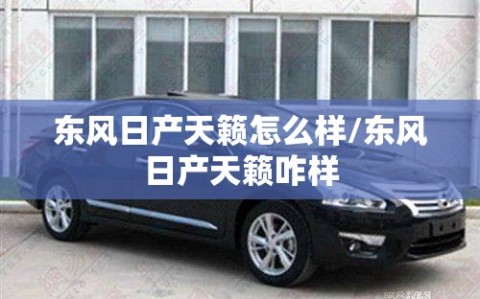 东风日产天籁怎么样/东风日产天籁咋样