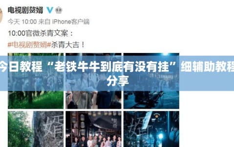 今日教程“老铁牛牛到底有没有挂”细辅助教程分享