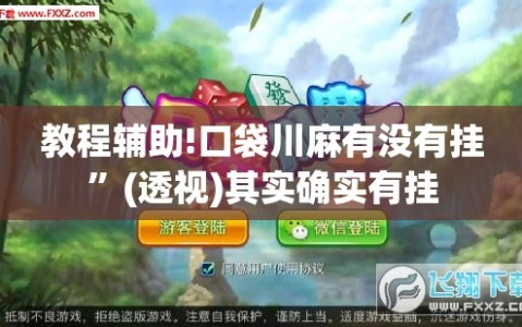 教程辅助!口袋川麻有没有挂”(透视)其实确实有挂