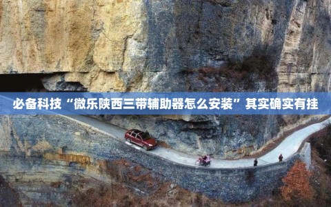 必备科技“微乐陕西三带辅助器怎么安装”其实确实有挂