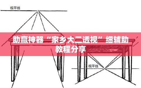 助赢神器“家乡大二透视”细辅助教程分享