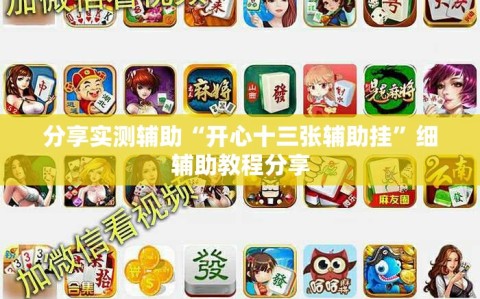 分享实测辅助“开心十三张辅助挂”细辅助教程分享