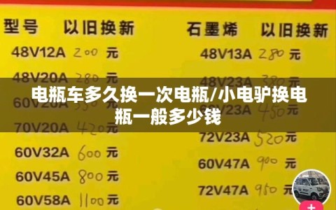 电瓶车多久换一次电瓶/小电驴换电瓶一般多少钱
