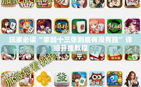 玩家必读“掌酷十三张到底有没有挂”详细开挂教程