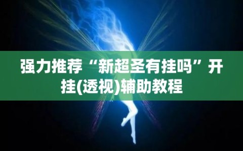 强力推荐“新超圣有挂吗”开挂(透视)辅助教程