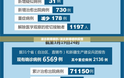 湖北新增病例/湖北新增病例疫情