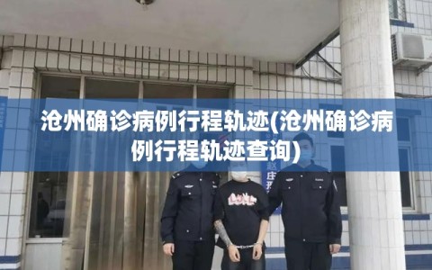 沧州确诊病例行程轨迹(沧州确诊病例行程轨迹查询)