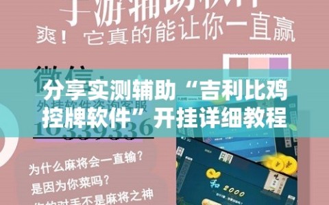 分享实测辅助“吉利比鸡控牌软件”开挂详细教程