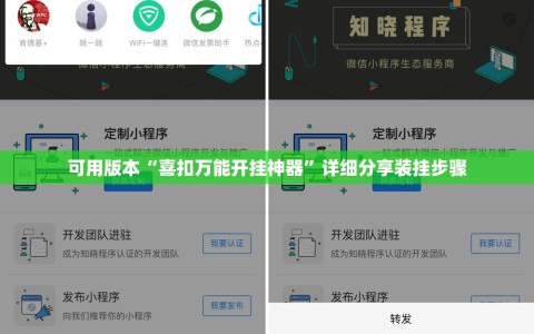 可用版本“喜扣万能开挂神器”详细分享装挂步骤