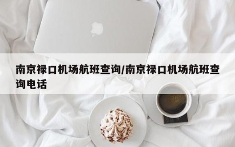 南京禄口机场航班查询/南京禄口机场航班查询电话