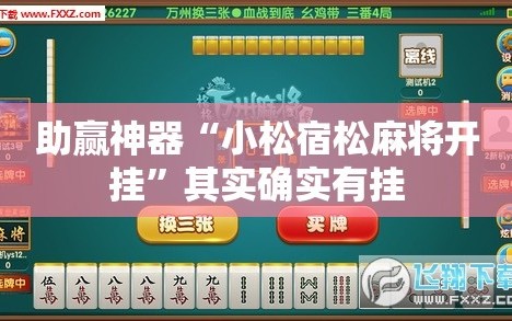 助赢神器“小松宿松麻将开挂”其实确实有挂