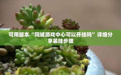 可用版本“同城游戏中心可以开挂吗”详细分享装挂步骤