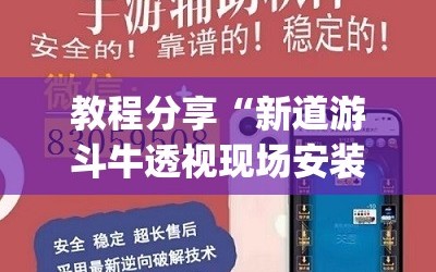 教程分享“新道游斗牛透视现场安装”(透视挂)辅助下载教程