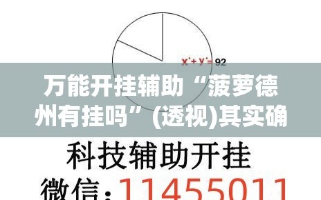 万能开挂辅助“菠萝德州有挂吗”(透视)其实确实有挂