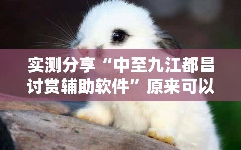 实测分享“中至九江都昌讨赏辅助软件”原来可以开挂