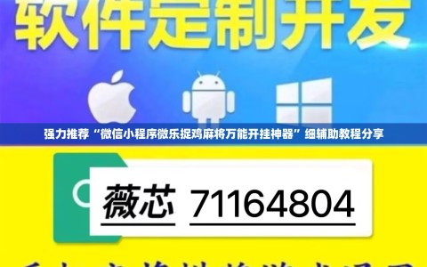 强力推荐“微信小程序微乐捉鸡麻将万能开挂神器”细辅助教程分享