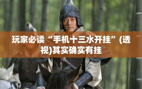 玩家必读“手机十三水开挂”(透视)其实确实有挂