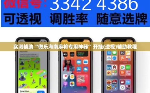 实测辅助“微乐海南麻将专用神器”开挂(透视)辅助教程