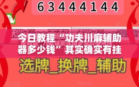今日教程“功夫川麻辅助器多少钱”其实确实有挂