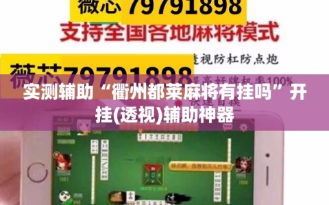 实测辅助“衢州都莱麻将有挂吗”开挂(透视)辅助神器