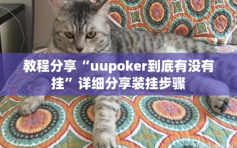 教程分享“uupoker到底有没有挂”详细分享装挂步骤