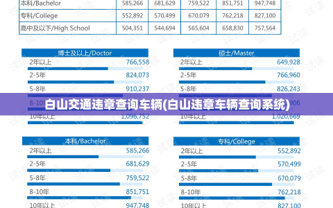 白山交通违章查询车辆(白山违章车辆查询系统)