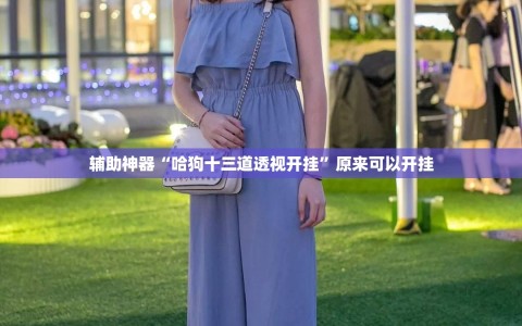 辅助神器“哈狗十三道透视开挂”原来可以开挂