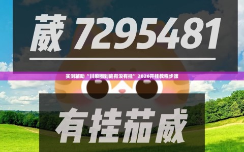 实测辅助“川麻圈到底有没有挂”2026开挂教程步骤