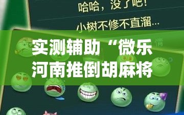 实测辅助“微乐河南推倒胡麻将挂”(透视挂)辅助下载教程