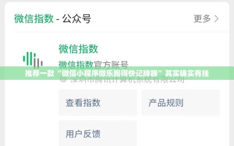 推荐一款“微信小程序微乐跑得快记牌器”其实确实有挂