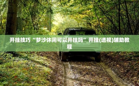 开挂技巧“梦沙休闲可以开挂吗”开挂(透视)辅助教程