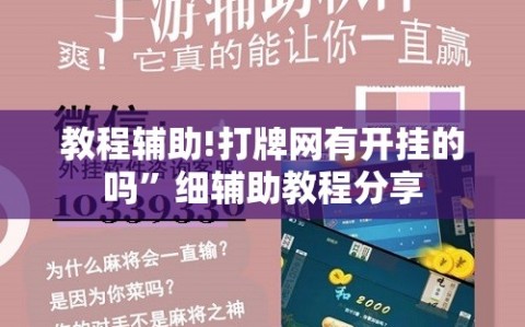 教程辅助!打牌网有开挂的吗”细辅助教程分享