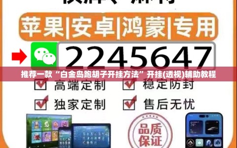 推荐一款“白金岛跑胡子开挂方法”开挂(透视)辅助教程