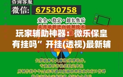玩家辅助神器：微乐保皇有挂吗”开挂(透视)最新辅助详细
