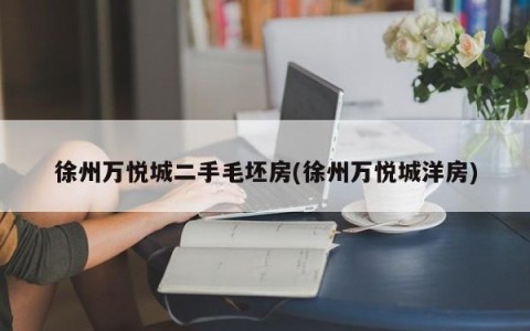 徐州万悦城二手毛坯房(徐州万悦城洋房)