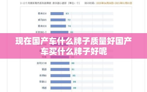 现在国产车什么牌子质量好国产车买什么牌子好呢