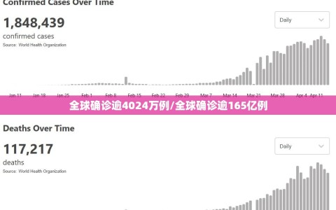 全球确诊逾4024万例/全球确诊逾165亿例